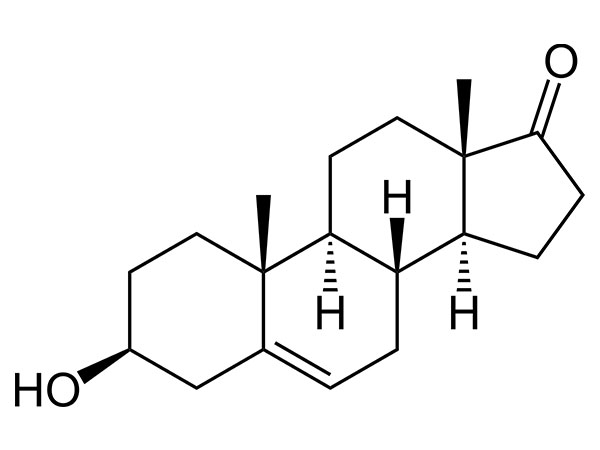 DHEA (prasteroni)